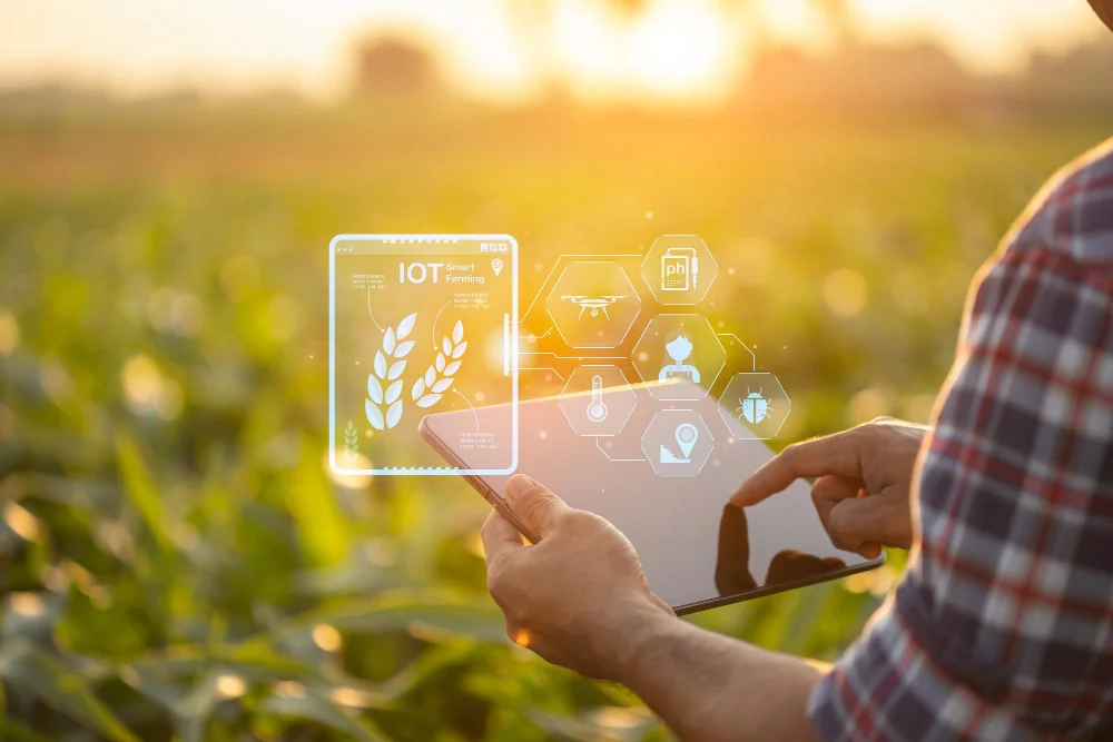 Helping modern agriculture thrive through innovative technology: Agricultural drones, RFID livestock identification, Weather monitoring systems, Soil sensors and Automated irrigation solutions.